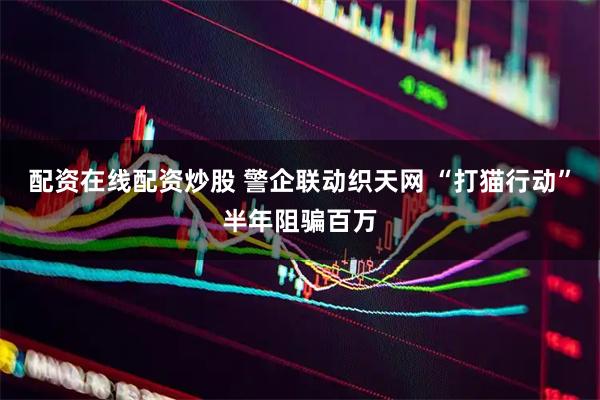 配资在线配资炒股 警企联动织天网 “打猫行动”半年阻骗百万