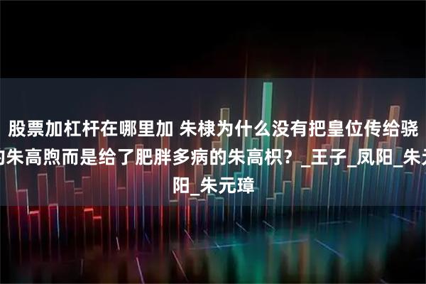 股票加杠杆在哪里加 朱棣为什么没有把皇位传给骁勇的朱高煦而是给了肥胖多病的朱高枳？_王子_凤阳_朱元璋
