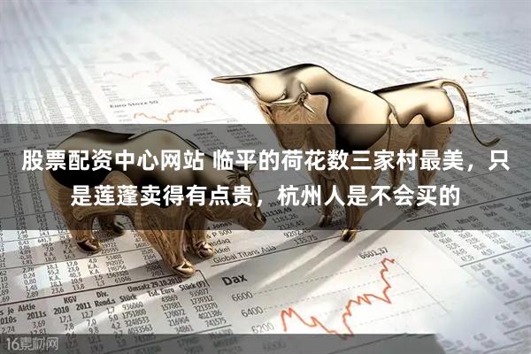 股票配资中心网站 临平的荷花数三家村最美，只是莲蓬卖得有点贵，杭州人是不会买的